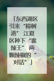 东西湖区引来“樟树港” 江夏区种下“襄辣王” 两颗辣椒的“对话”